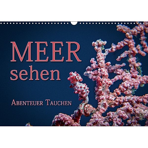 Meer sehen - Abenteuer Tauchen (Wandkalender 2018 DIN A3 quer), Dieter Gödecke