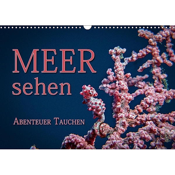 Meer sehen - Abenteuer Tauchen (Wandkalender 2021 DIN A3 quer), Dieter Gödecke