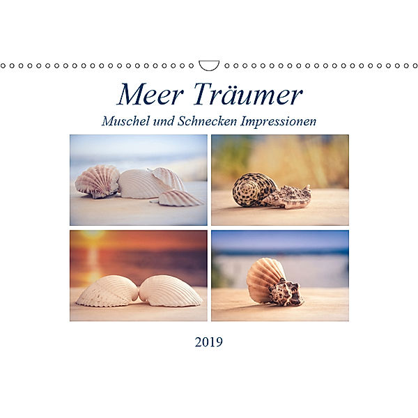 Meer Träumer - Muscheln und Schnecken Impressionen (Wandkalender 2019 DIN A3 quer), Steffen Gierok