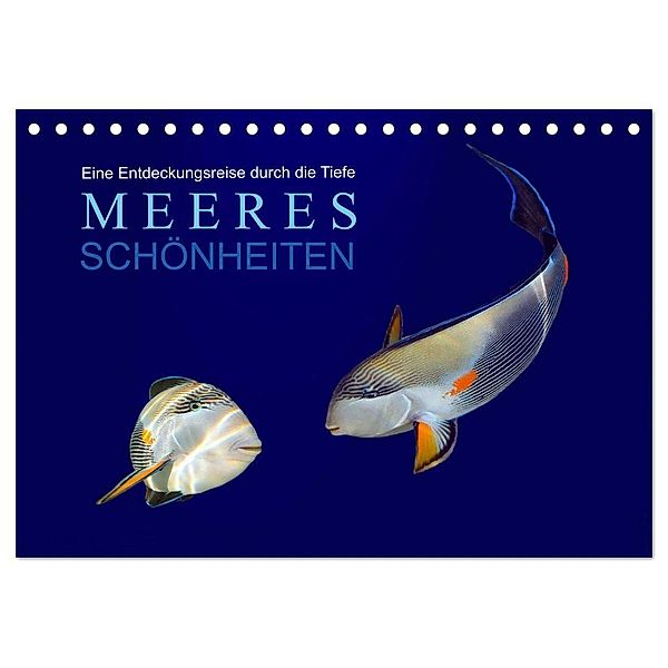 Meeres Schönheiten (Tischkalender 2024 DIN A5 quer), CALVENDO Monatskalender, Tina Melz