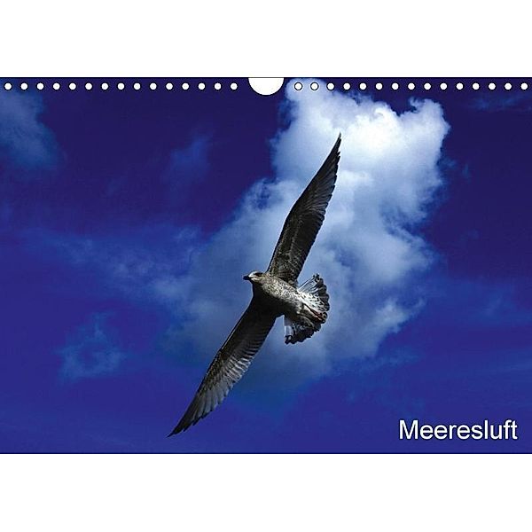 Meeresluft (Wandkalender 2017 DIN A4 quer), Annette Kinz