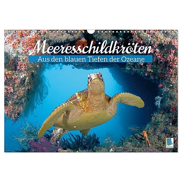 Meeresschildkröten: Aus den blauen Tiefen der Ozeane (Wandkalender 2024 DIN A3 quer), CALVENDO Monatskalender, Calvendo