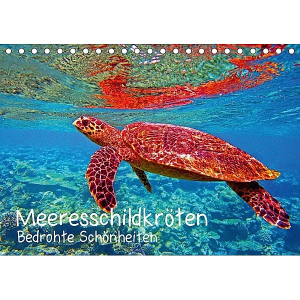 Meeresschildkröten - Bedrohte Schönheiten (Tischkalender 2018 DIN A5 quer), Andrea Hess