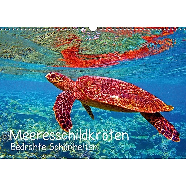 Meeresschildkröten - Bedrohte Schönheiten (Wandkalender 2018 DIN A3 quer), Andrea Hess