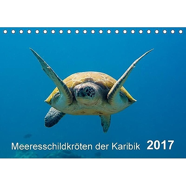 Meeresschildkröten der Karibik (Tischkalender 2017 DIN A5 quer), Naturepics