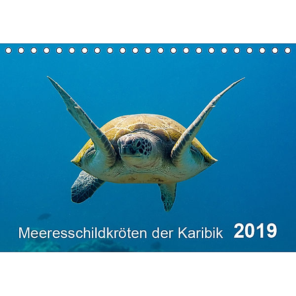 Meeresschildkröten der Karibik (Tischkalender 2019 DIN A5 quer), Yvonne Kühnast