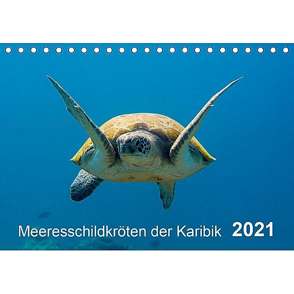 Meeresschildkröten der Karibik (Tischkalender 2021 DIN A5 quer), Yvonne Kühnast