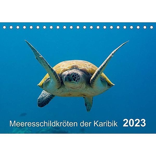 Meeresschildkröten der Karibik (Tischkalender 2023 DIN A5 quer), Yvonne Kühnast