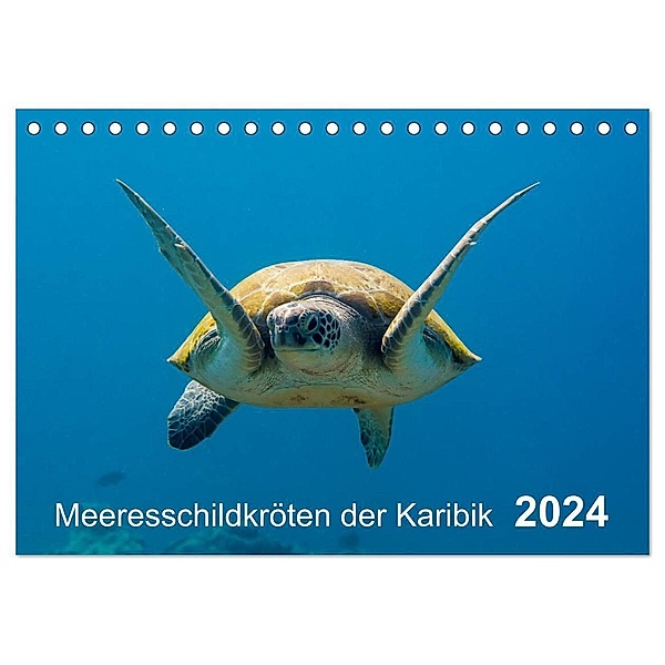 Meeresschildkröten der Karibik (Tischkalender 2024 DIN A5 quer), CALVENDO Monatskalender, Yvonne Kühnast