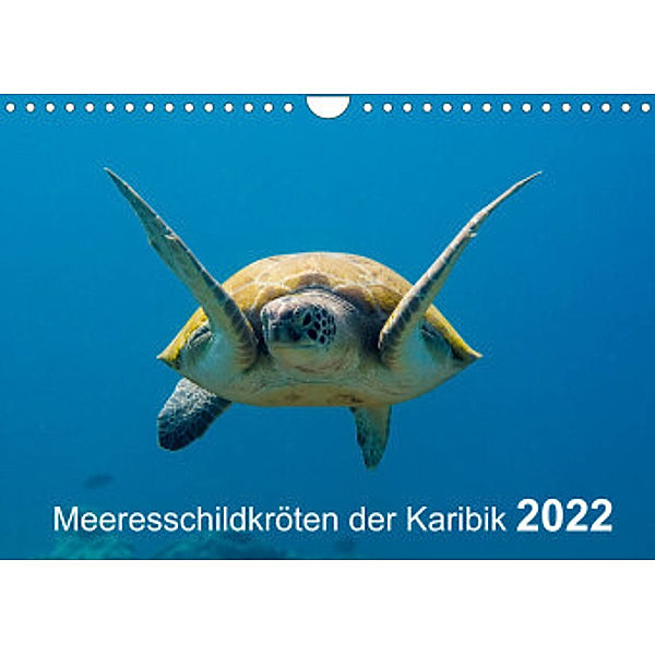 Meeresschildkröten der Karibik (Wandkalender 2022 DIN A4 quer), Yvonne Kühnast
