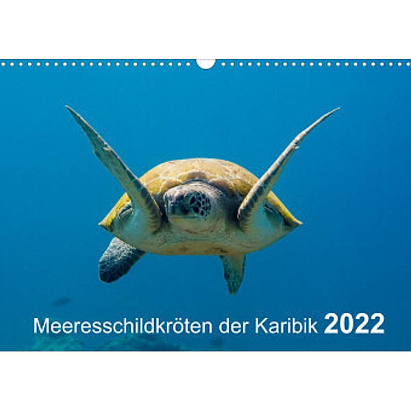 Meeresschildkröten der Karibik (Wandkalender 2022 DIN A3 quer), Yvonne Kühnast