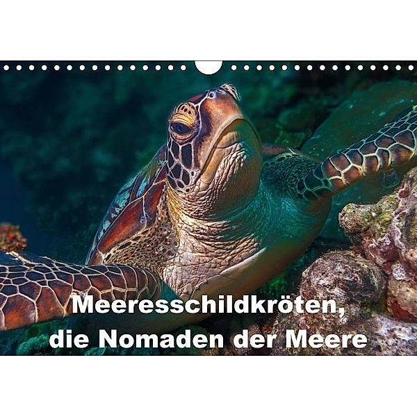 Meeresschildkröten, die Nomaden der Meere (Wandkalender 2017 DIN A4 quer), Dieter Gödecke