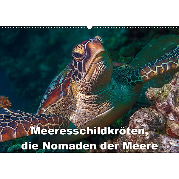 Meeresschildkröten, die Nomaden der Meere (Wandkalender 2019 DIN A2 quer), Dieter Gödecke