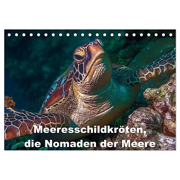 Meeresschildkröten, die Nomaden der Meere (Tischkalender 2024 DIN A5 quer), CALVENDO Monatskalender, Dieter Gödecke