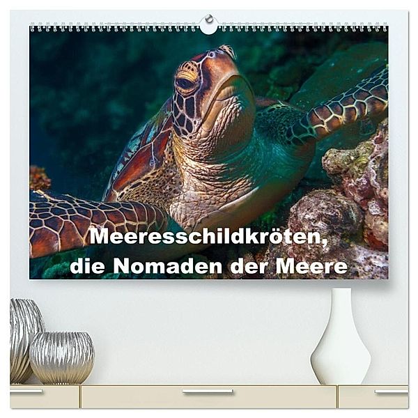 Meeresschildkröten, die Nomaden der Meere (hochwertiger Premium Wandkalender 2025 DIN A2 quer), Kunstdruck in Hochglanz, Calvendo, Dieter Gödecke
