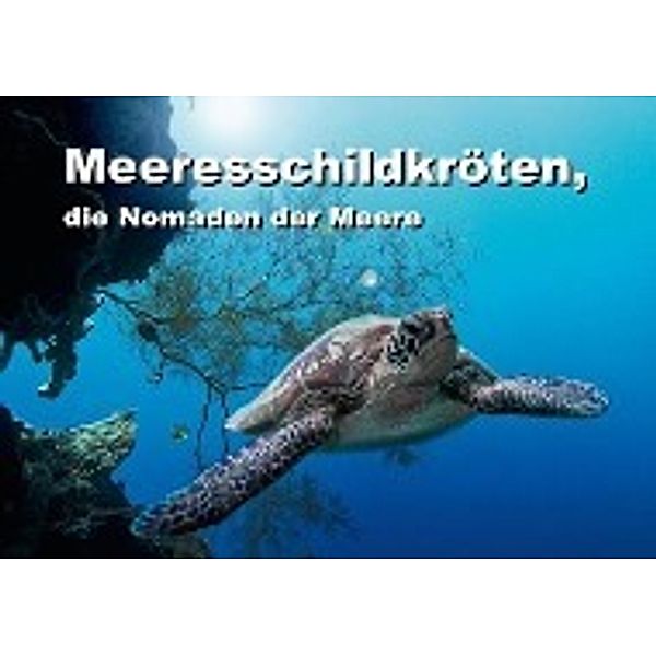 Meeresschildkröten, die Nomaden der Meere (Posterbuch DIN A4 quer), Dieter Gödecke