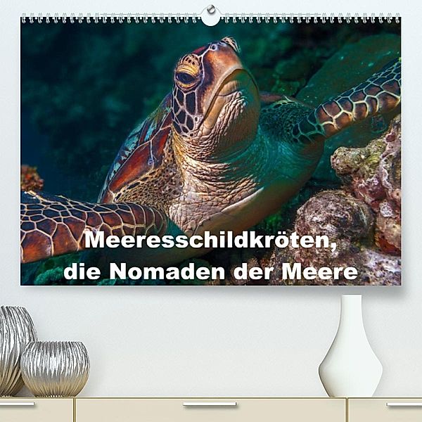 Meeresschildkröten, die Nomaden der Meere (Premium, hochwertiger DIN A2 Wandkalender 2023, Kunstdruck in Hochglanz), Dieter Gödecke