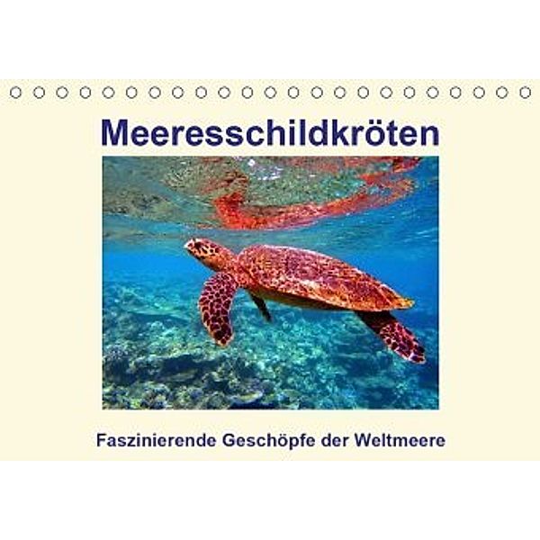 Meeresschildkröten - Faszinierende Geschöpfe der Weltmeere (Tischkalender 2020 DIN A5 quer), Andrea Hess