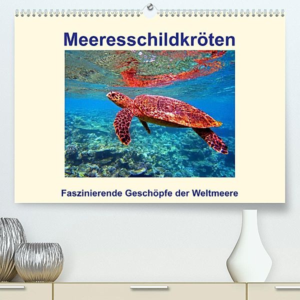 Meeresschildkröten - Faszinierende Geschöpfe der Weltmeere (Premium, hochwertiger DIN A2 Wandkalender 2023, Kunstdruck i, Andrea Heß