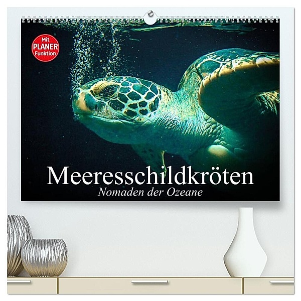 Meeresschildkröten. Nomaden der Ozeane (hochwertiger Premium Wandkalender 2024 DIN A2 quer), Kunstdruck in Hochglanz, Elisabeth Stanzer