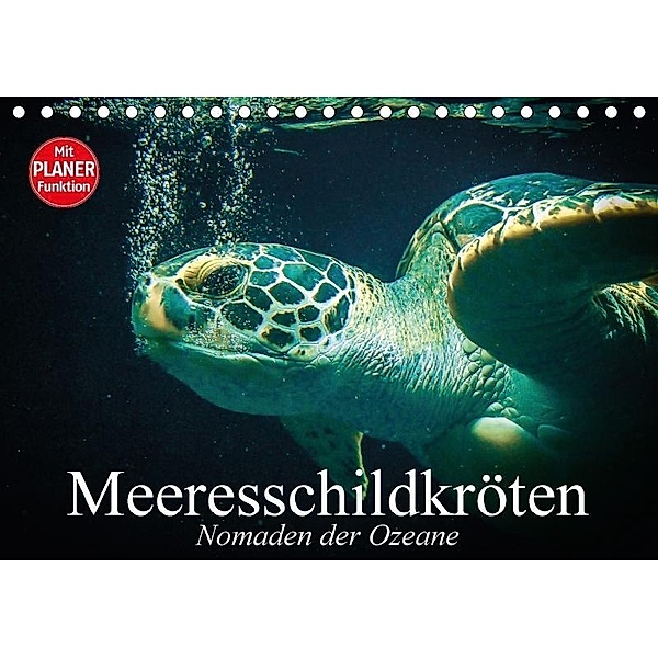 Meeresschildkröten. Nomaden der Ozeane (Tischkalender 2017 DIN A5 quer), Elisabeth Stanzer