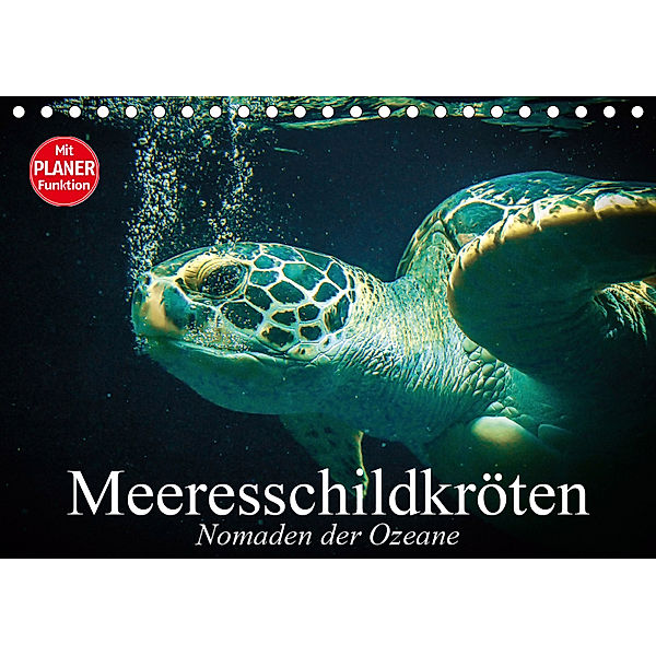 Meeresschildkröten. Nomaden der Ozeane (Tischkalender 2019 DIN A5 quer), Elisabeth Stanzer