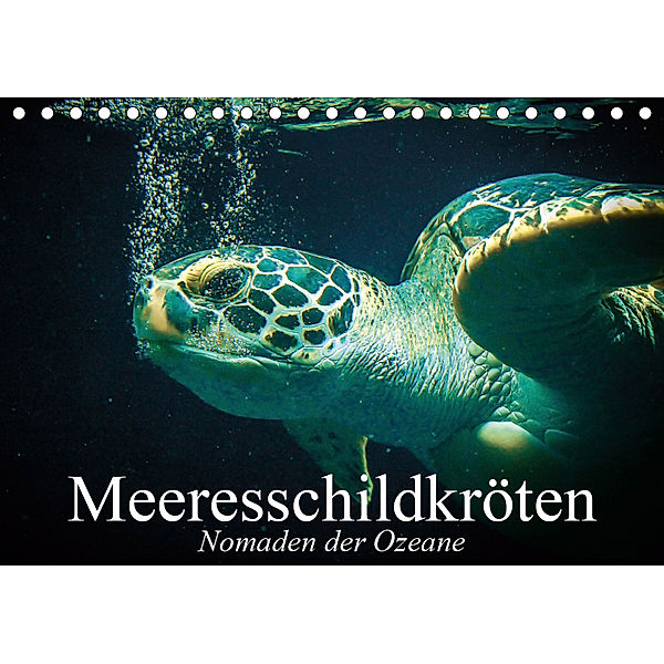 Meeresschildkröten. Nomaden der Ozeane (Tischkalender 2019 DIN A5 quer), Elisabeth Stanzer