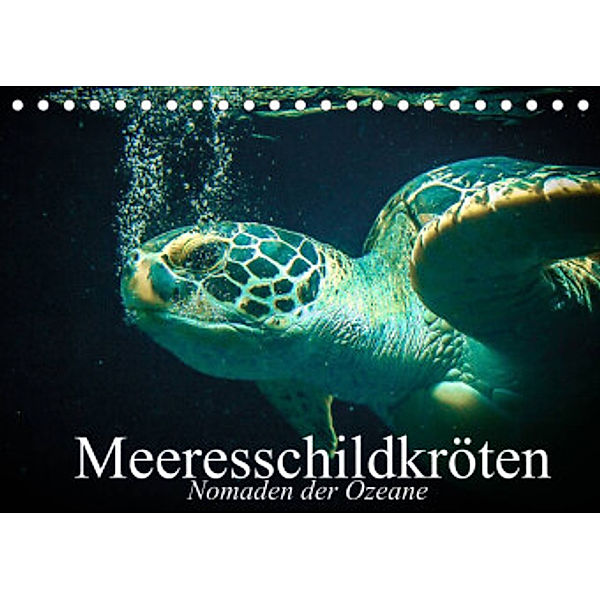 Meeresschildkröten. Nomaden der Ozeane (Tischkalender 2022 DIN A5 quer), Elisabeth Stanzer