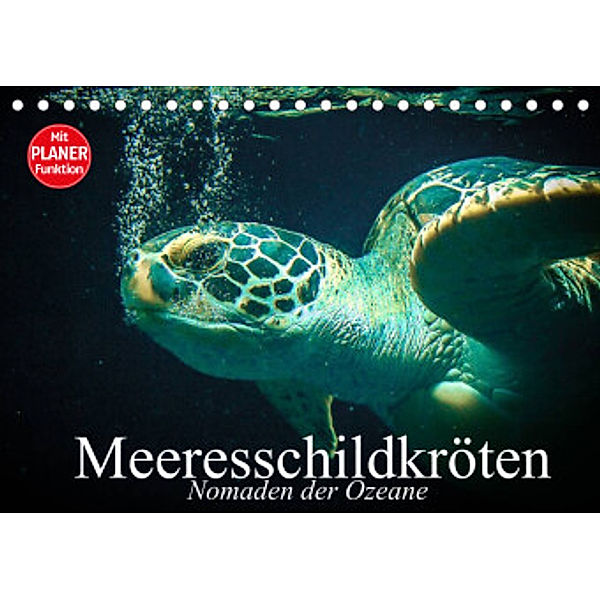 Meeresschildkröten. Nomaden der Ozeane (Tischkalender 2022 DIN A5 quer), Elisabeth Stanzer