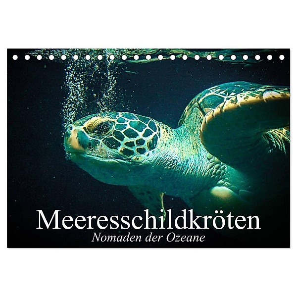 Meeresschildkröten. Nomaden der Ozeane (Tischkalender 2024 DIN A5 quer), CALVENDO Monatskalender, Elisabeth Stanzer