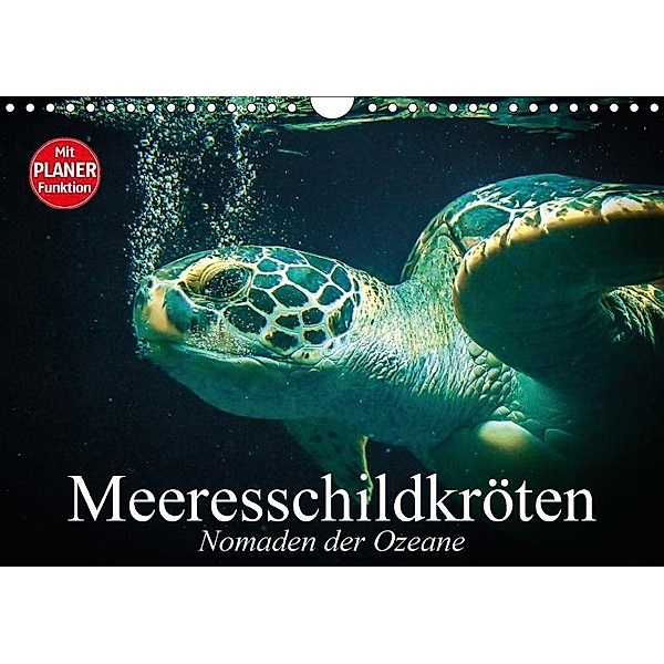 Meeresschildkröten. Nomaden der Ozeane (Wandkalender 2017 DIN A4 quer), Elisabeth Stanzer