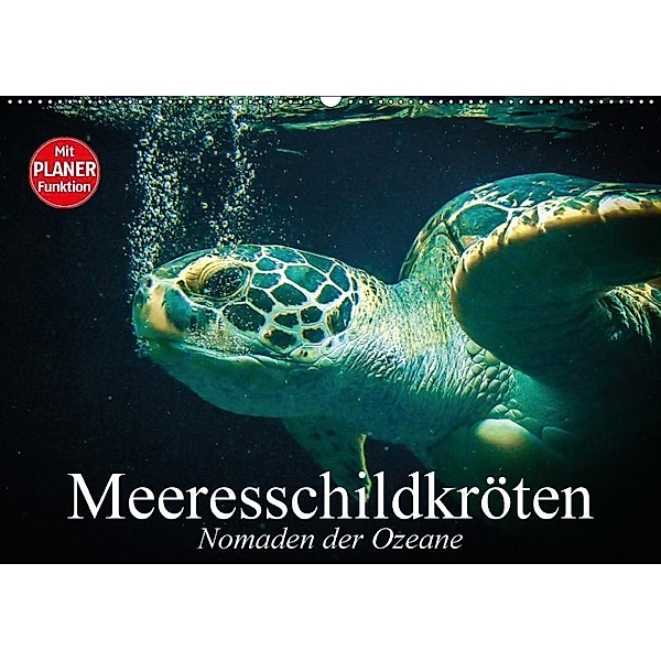 Meeresschildkröten. Nomaden der Ozeane (Wandkalender 2017 DIN A2 quer), Elisabeth Stanzer