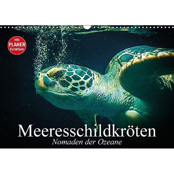 Meeresschildkröten. Nomaden der Ozeane (Wandkalender 2018 DIN A3 quer), Elisabeth Stanzer