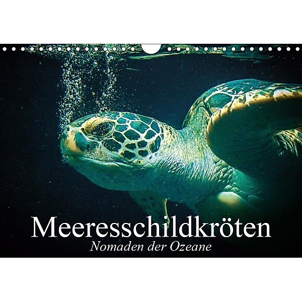 Meeresschildkröten. Nomaden der Ozeane (Wandkalender 2019 DIN A4 quer), Elisabeth Stanzer