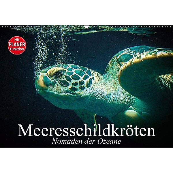 Meeresschildkröten. Nomaden der Ozeane (Wandkalender 2020 DIN A2 quer), Elisabeth Stanzer