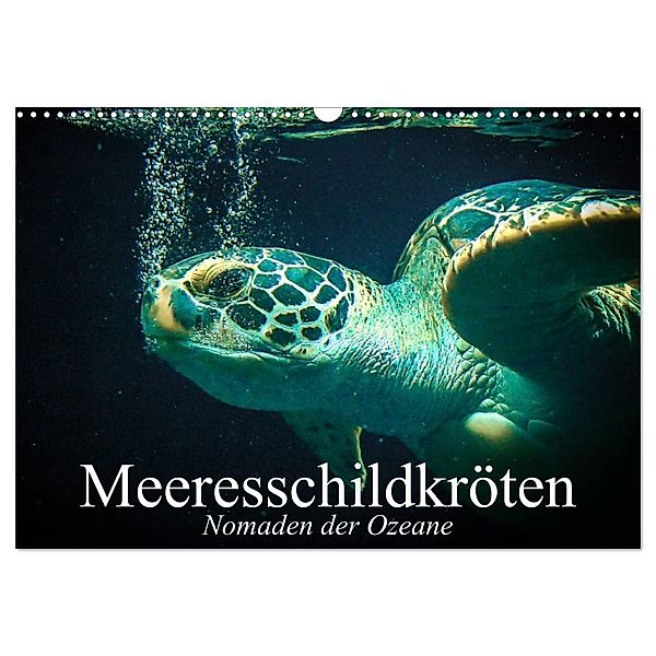 Meeresschildkröten. Nomaden der Ozeane (Wandkalender 2025 DIN A3 quer), CALVENDO Monatskalender, Calvendo, Elisabeth Stanzer