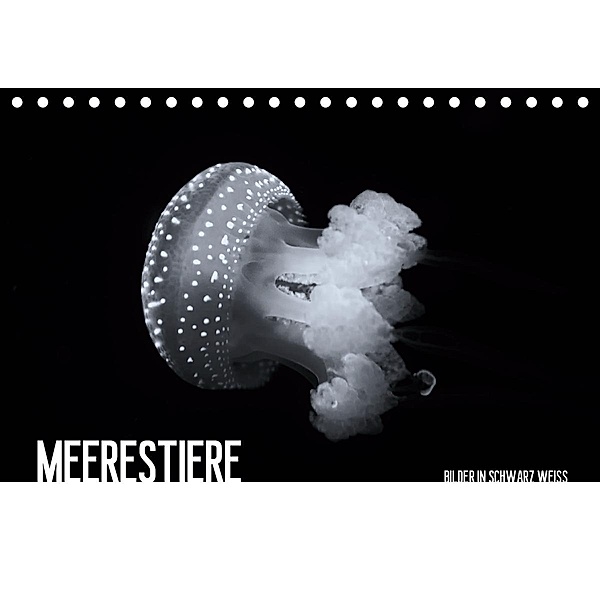 Meerestiere Bilder in Schwarz Weiss (Tischkalender 2020 DIN A5 quer), Dirk Meutzner