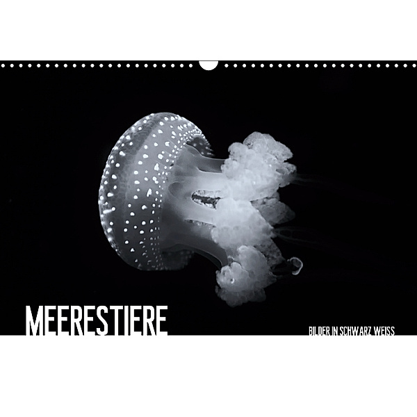 Meerestiere Bilder in Schwarz Weiss (Wandkalender 2019 DIN A3 quer), Dirk Meutzner