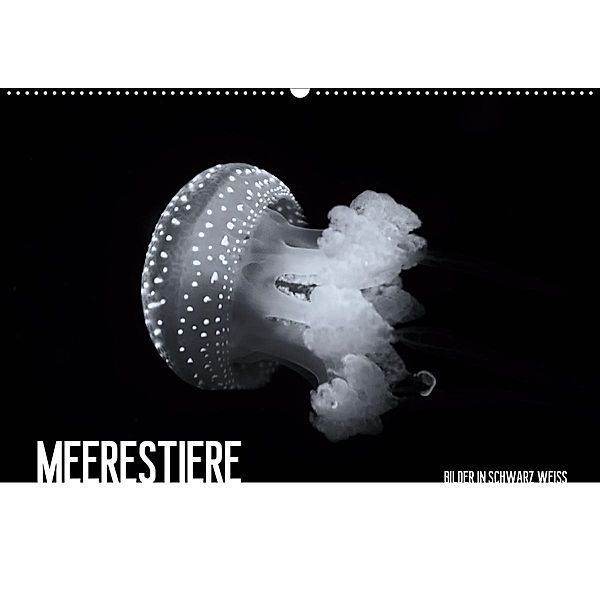 Meerestiere Bilder in Schwarz Weiss (Wandkalender 2020 DIN A2 quer), Dirk Meutzner