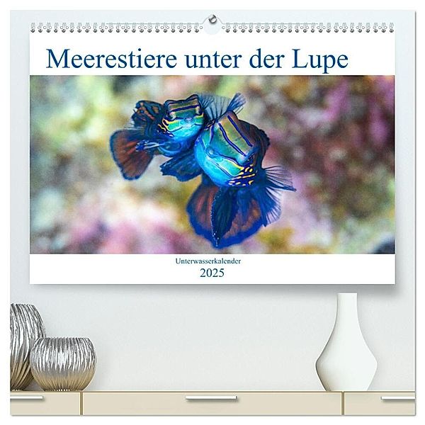 Meerestiere unter der Lupe - Unterwasserkalender (hochwertiger Premium Wandkalender 2025 DIN A2 quer), Kunstdruck in Hochglanz, Calvendo, Sven Gruse