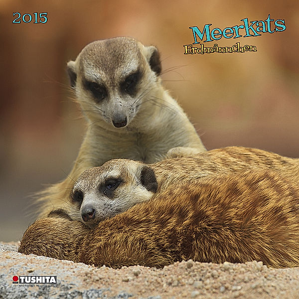 Meerkats 2015