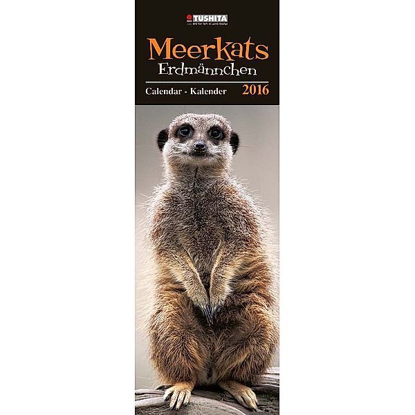 Meerkats 2016