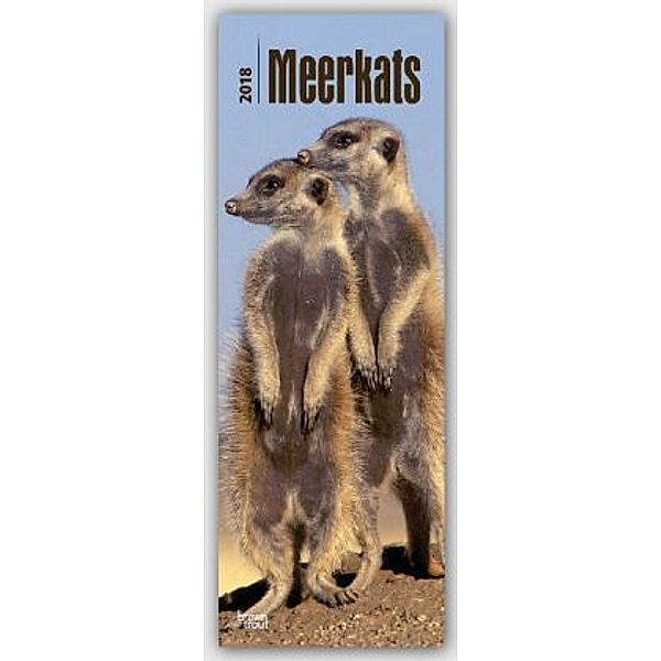 Meerkats 2018, BrownTrout Publisher