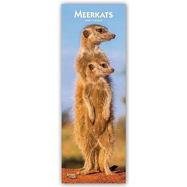 Meerkats 2020, BrownTrout Publishers