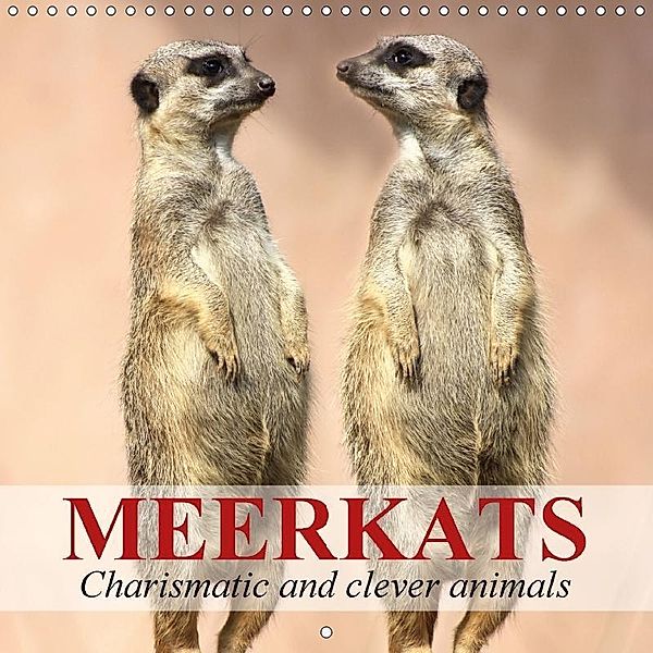 Meerkats - Charismatic and clever animals (Wall Calendar 2017 300 × 300 mm Square), Elisabeth Stanzer