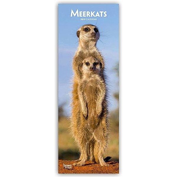 Meerkats - Erdmännchen 2019, BrownTrout Publisher