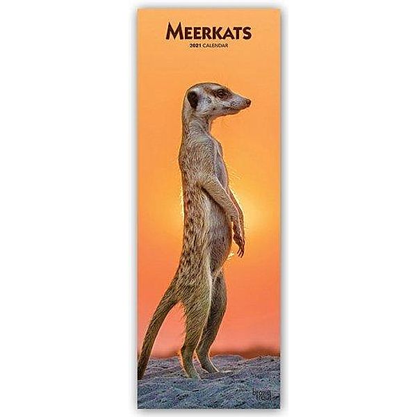 Meerkats - Erdmännchen 2021, BrownTrout Publishers
