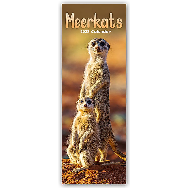 Meerkats - Erdmännchen 2022, Avonside Publishing Ltd