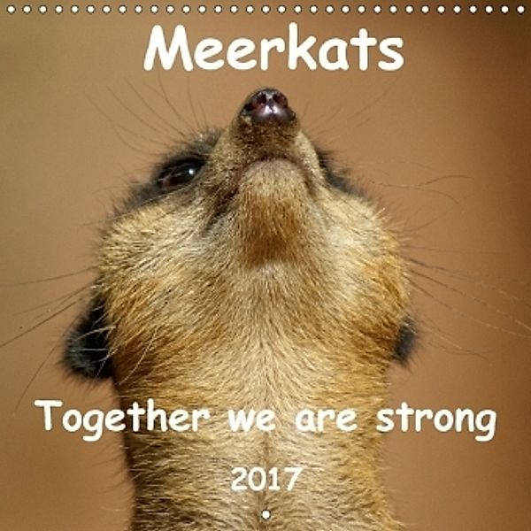 Meerkats - Together we are strong 2017 (Wall Calendar 2017 300 × 300 mm Square), Peter Hebgen