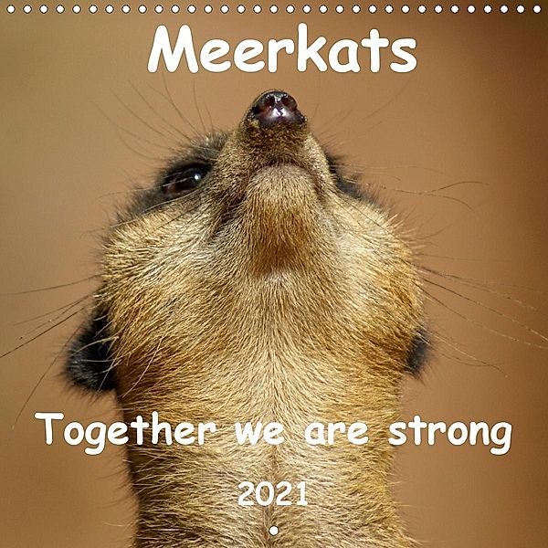 Meerkats - Together we are strong 2021 (Wall Calendar 2021 300 × 300 mm Square), Peter Hebgen